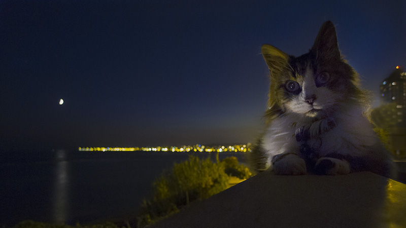 ciuffi-luna-pan.jpg - OLYMPUS DIGITAL CAMERA