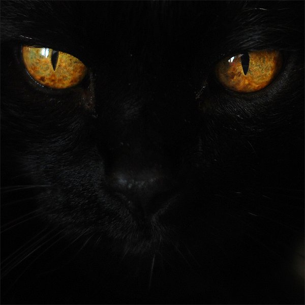 nerone.jpg