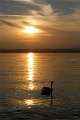 tramonto_vert