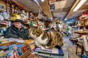 libreria_AA16_03