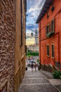 vewrona21_08-03