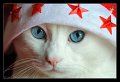 natale09_02