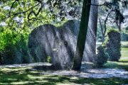 acqua