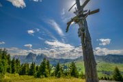 alpedisiusi23-01