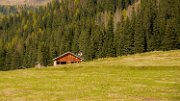 valvenegia01