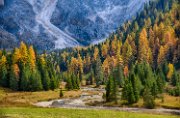 valvenegia07