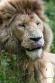 leone01