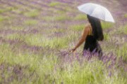 anna-lavanda23_03