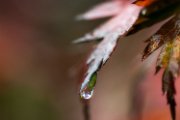 autunno13-25