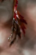 autunno13-26