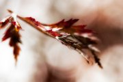 autunno13-27