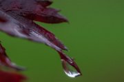 autunno13-31