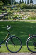 biciclette