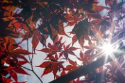 bru20-controluce07