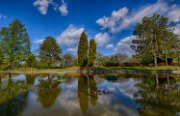 bru21-giardini-acquatici02