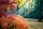 bru22-autunno01