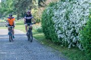 ciclisti02