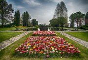 giardini-acquatici01
