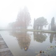 nebbia