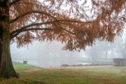 nebbia01