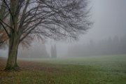 nebbia06