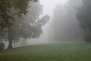 nebbia08