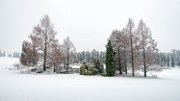 neve01