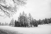 neve08