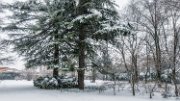 neve18-07a