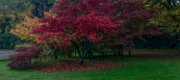 panoramica-autunno03